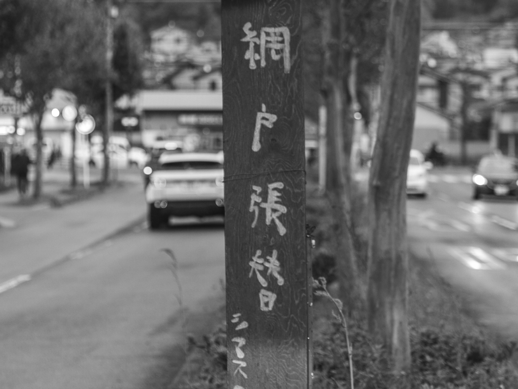 車道のど真ん中に