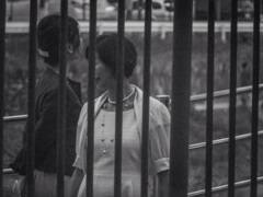 嫁と姑