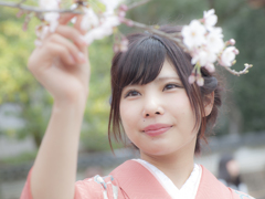 春節ここに