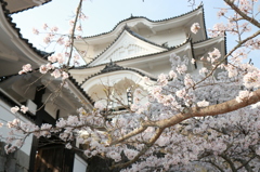 上野公園　上野城