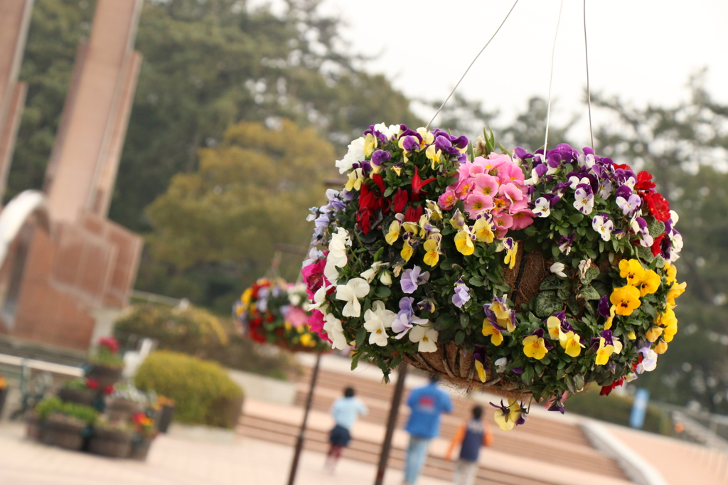 花③