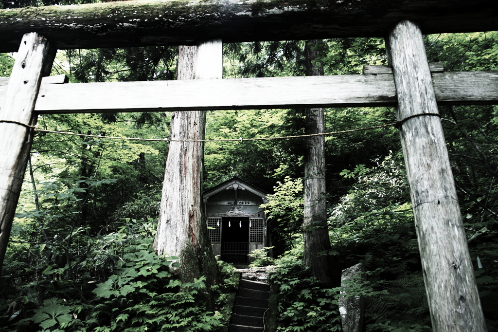 結界の森に...