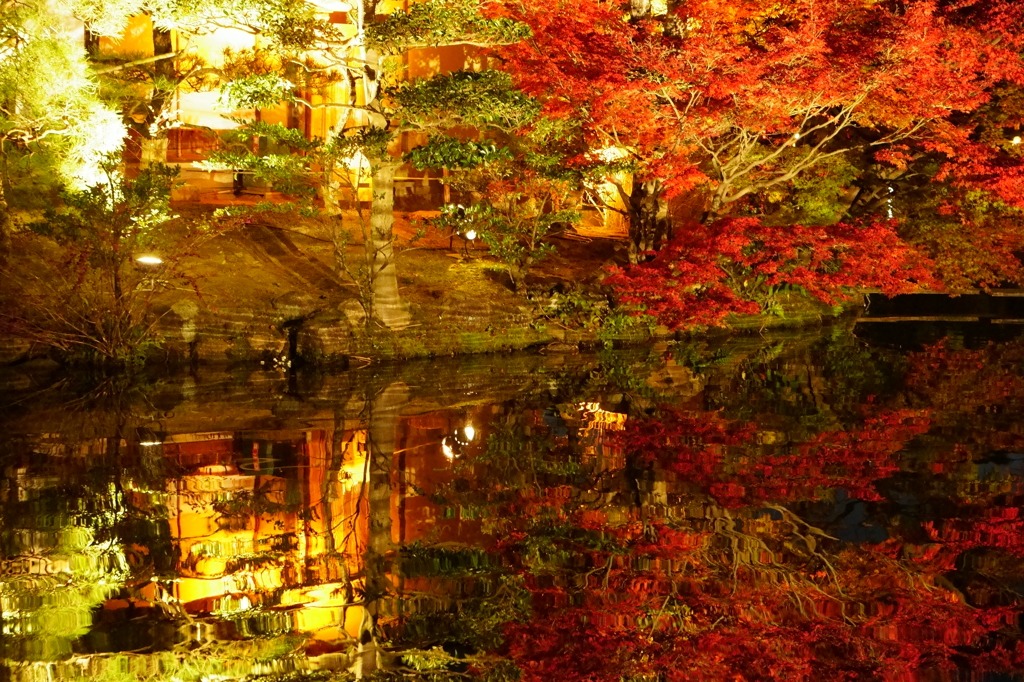 幻想庭園