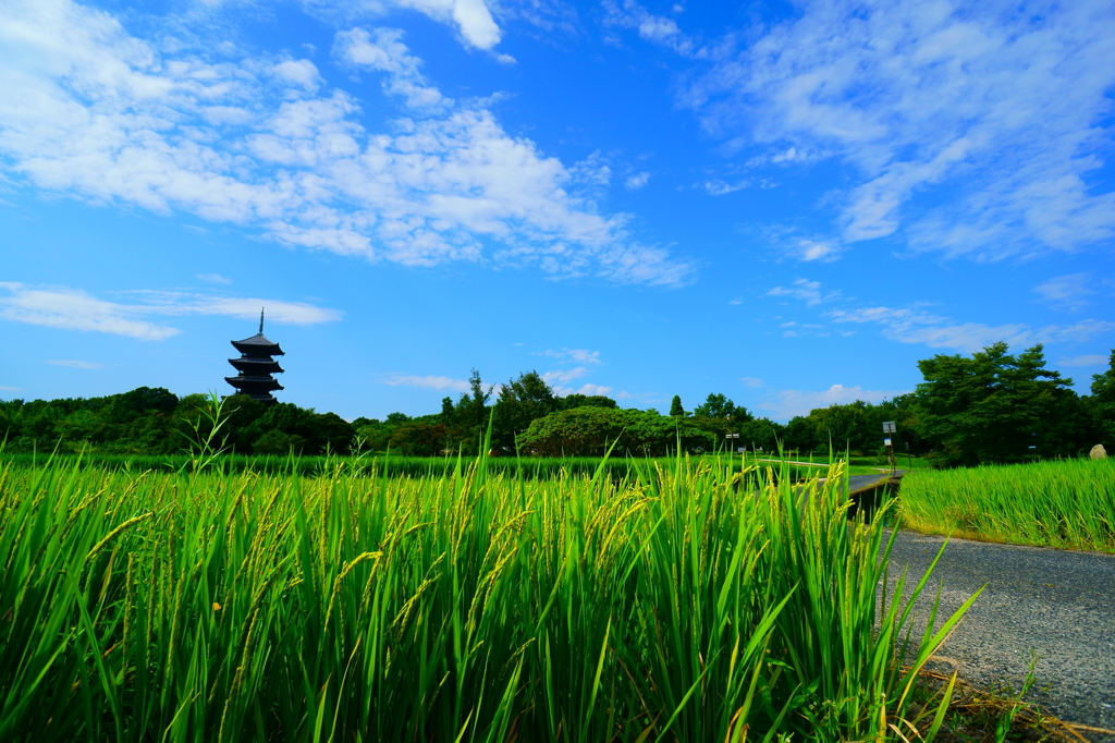 日本の原風景ー備中国分寺よりー２