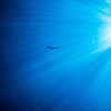 underwater world 08