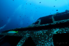 wreck diving 05