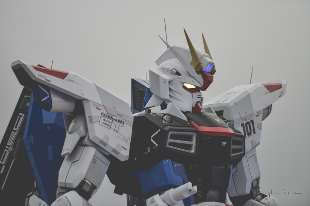 zgmf-x10a freedom gundam