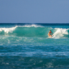 waikiki surfing girl