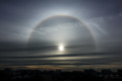 morning sun halo