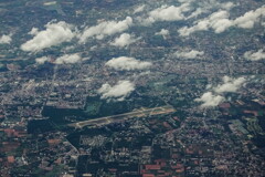 korat bird view