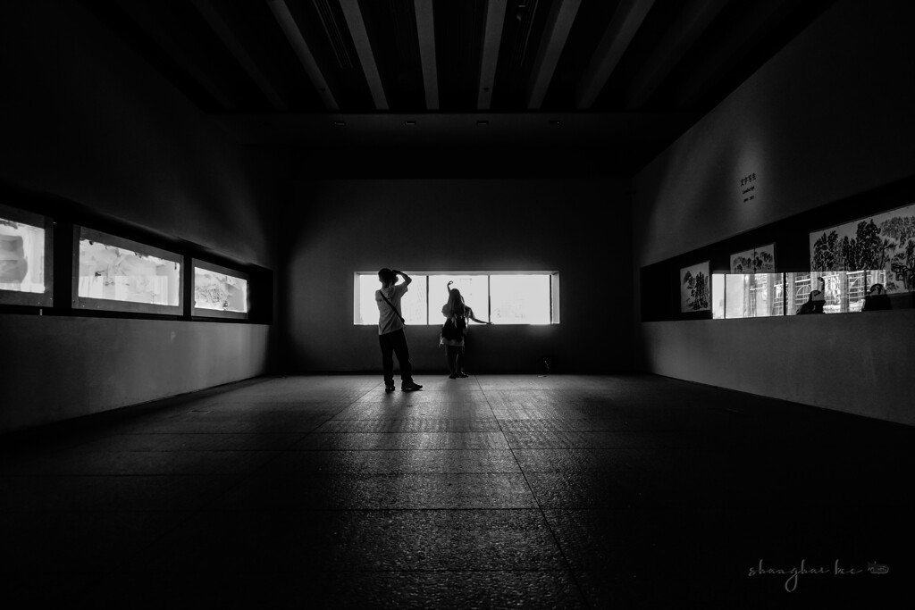 fascinated by backlight