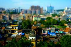 shunde town
