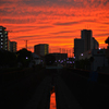 nakano sunset