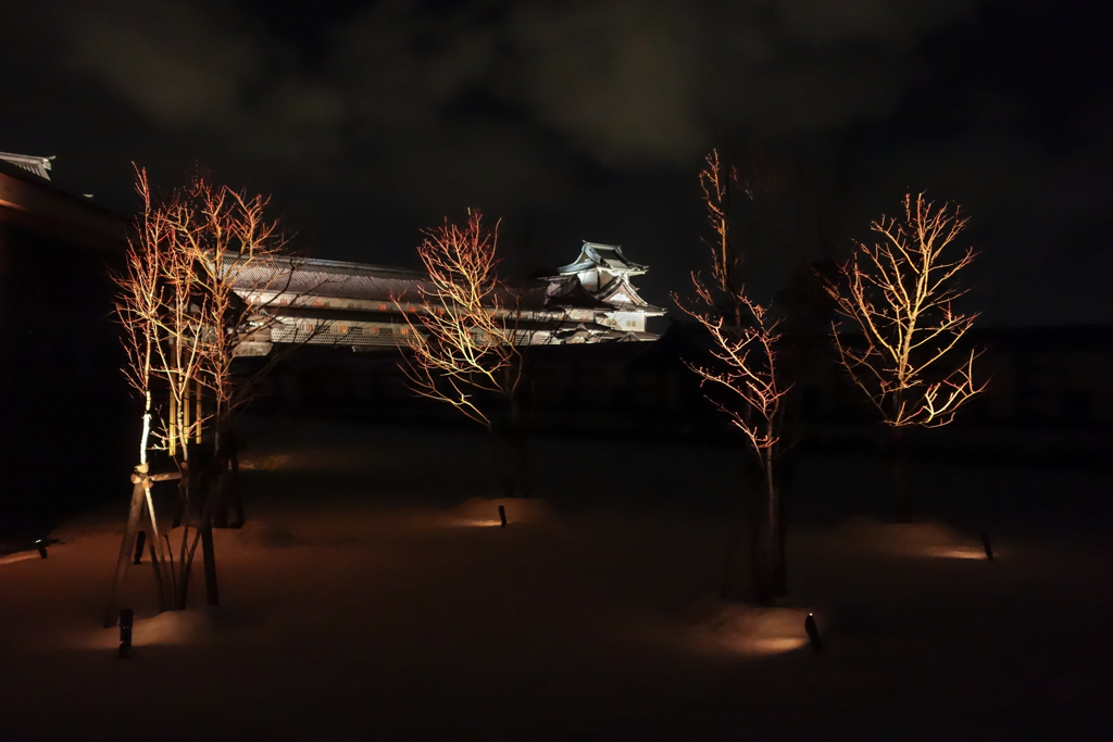view kanazawa castle from tsurunomaru
