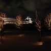 view kanazawa castle from tsurunomaru