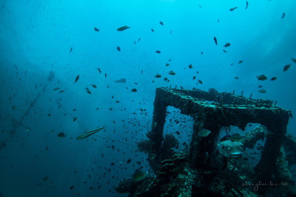underwater world 03
