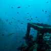 underwater world 03