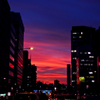 way back in the sunset
