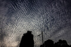 cirrocumulus