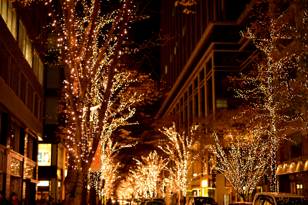 illumination ~ marunouchi