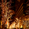 illumination ~ marunouchi