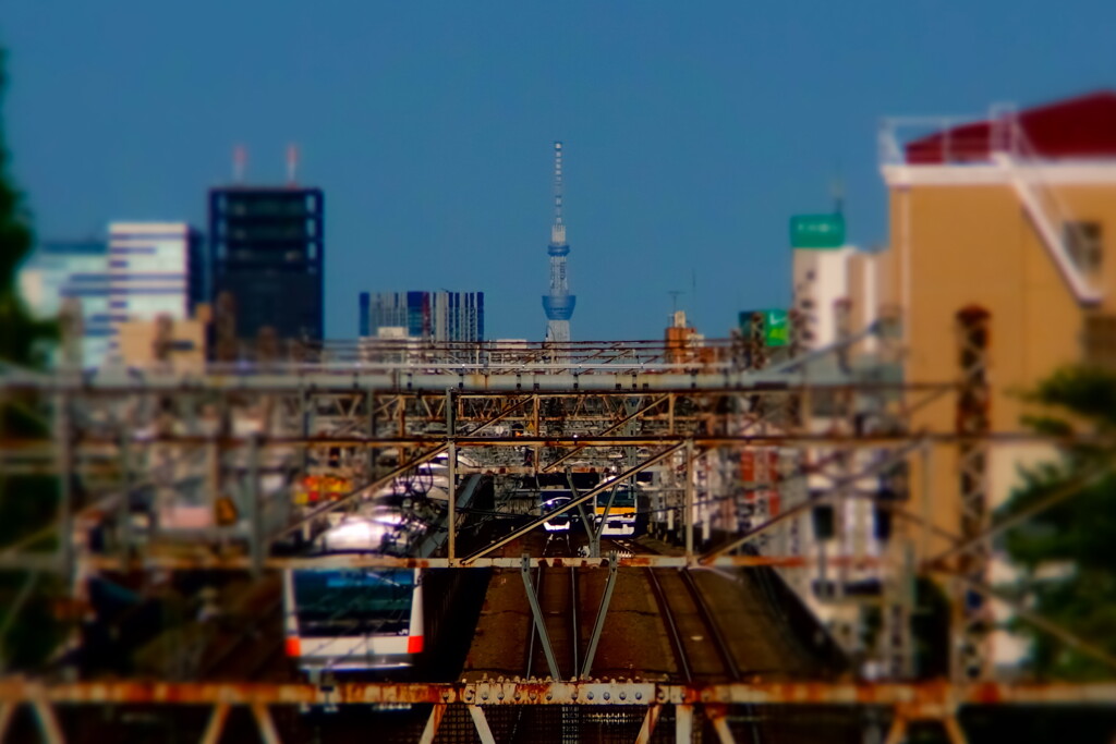 tokyo straight line