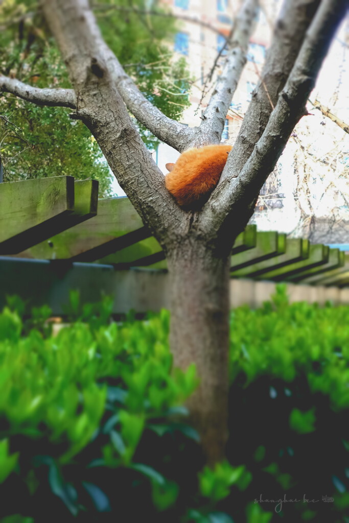 comfortable sleeping place