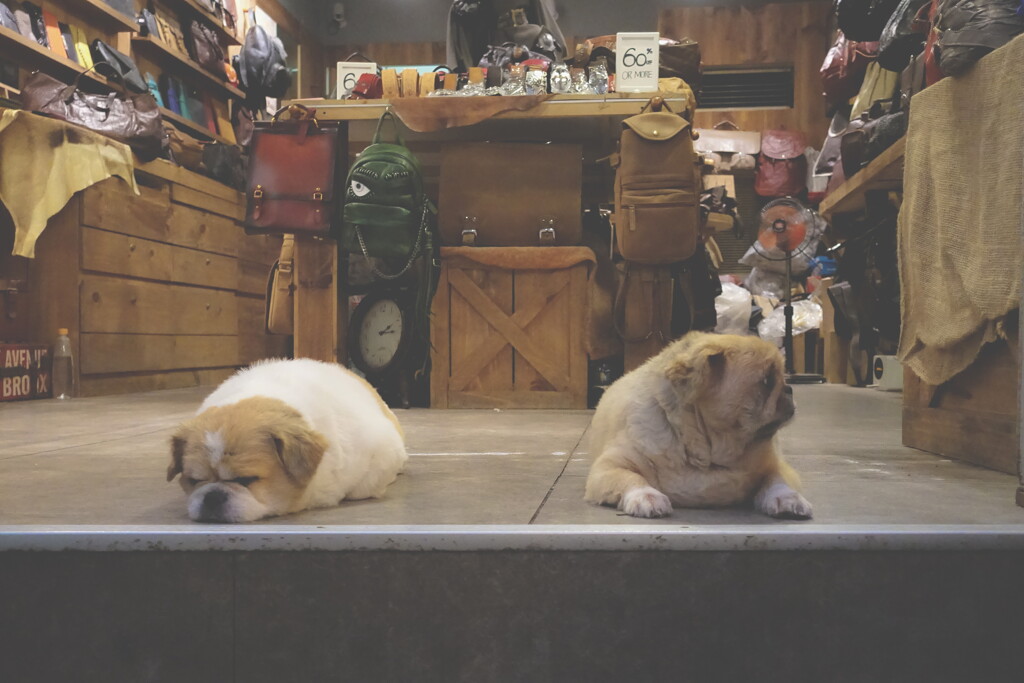 storekeeper brothers