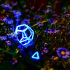 pl art~nature and geometry03