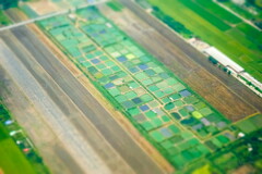 pastel color palette