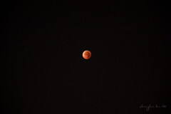 blood moon 8-sep-25