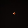 blood moon 8-sep-25