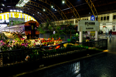 tropic station