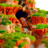 splash mountain