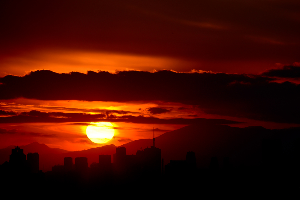 tokyo sunset