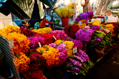 pak klong market