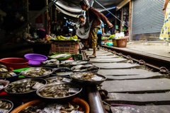 a fish store