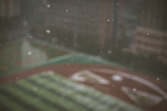 snow falls shanghai