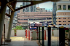 the view of phaya thai