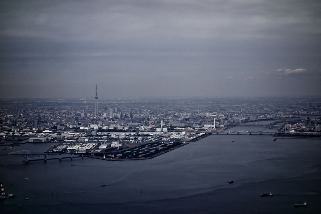 landscape with tokyo skytree