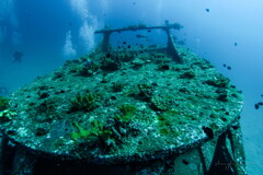 wreck diving 02