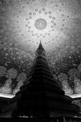 wat paknam~monochrome version