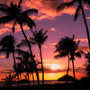 ko olina sunset 1