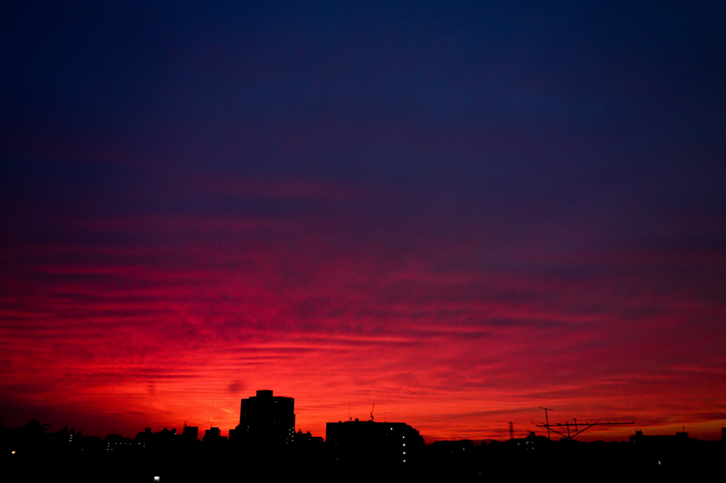 sunset of shinagawa