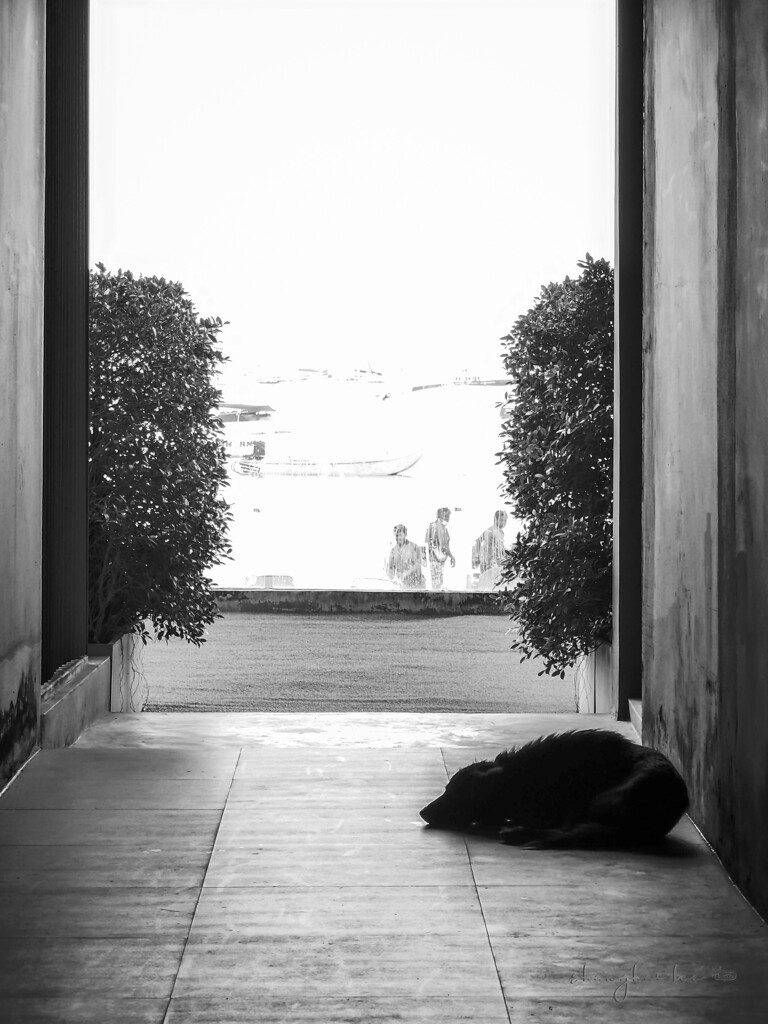 feel at ease