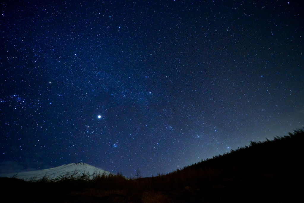 無数の星に飾られて