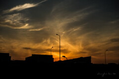 streetlight silhouette