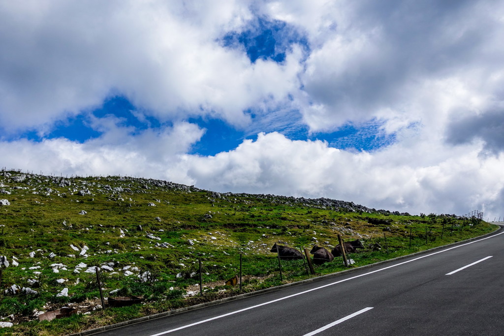 shikoku karst_02