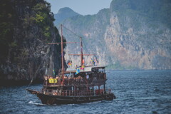 viking type