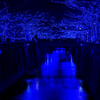 illumination ~ blue grotto